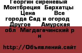 Георгин сиреневый. Монтбреция. Бархатцы.  › Цена ­ 100 - Все города Сад и огород » Другое   . Амурская обл.,Магдагачинский р-н